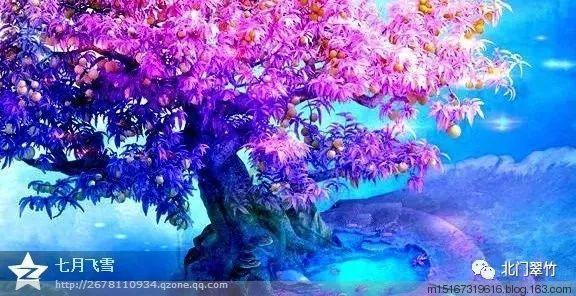 南京西格玛医学技术股份有限公司:专精特新医疗器械CRO行业翘楚